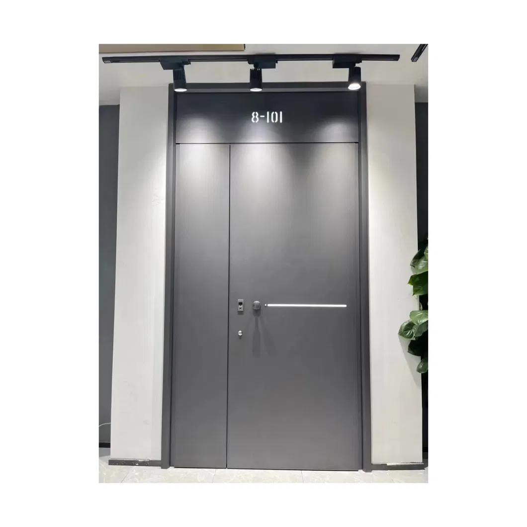 Armored Exterior Doors Steel Security Entrance for Villa